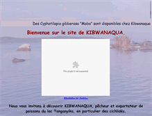 Tablet Screenshot of fr.kibwanaqua.com